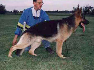 Oldo